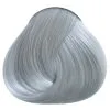 Silver Directions 2 Silver Directions -Halloween Make up Verkäufe directions silver silber toenung graue haare haarfarbe grau haartoenung silber 660380 05