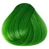 Directions Spring Green 1 Directions Spring Green -Halloween Make up Verkäufe directions spring green gruene haare gruen haartoenung haarfarbe gruen 660379 01