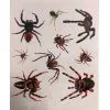 Realistische Spinnen Aufklebe Tattoo -Halloween Make up Verkäufe realistische halloween spinnen aufklebe tattoo halloween spide temporary tattoos 51785